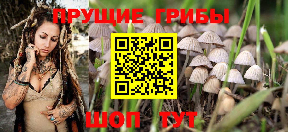 Галлюциногенные грибы Magic Shrooms  Вход с VPN  Анжеро-Судженск 